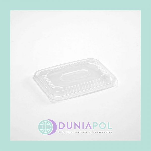 BANDEJA MICRO TAPA BISAGRA (x50) - PLASTICO PP RECICLABLE - Dunia Pol